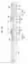 Fig. 06 - Organic light emitting diode display and manufacturing method of the same