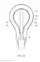 Fig. 09 - LIGHT EMITTING DIODE LAMP AND METHOD FOR FABRICATING THE SAME