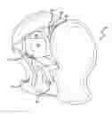Fig. 01 - MODIFYING VISUAL PERCEPTION