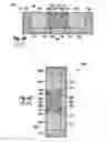 Fig. 07 - Hall sensor element and method for measuring a magnetic field