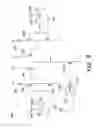 Fig. 06 - Power harvesting in open drain transmitters