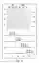 Fig. 05 - 3D DISPLAY AND DRIVING METHOD THEREOF