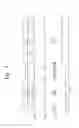 Fig. 05 - DISPLAY APPARATUS AND METHOD OF DRIVING THE SAME