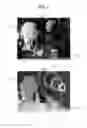Fig. 03 - Method and apparatus generating multi-view images for three-dimensional display