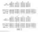 Fig. 02 - Image displaying method for display device