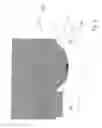 Fig. 07 - Multicolor thermal imaging method and thermal printer