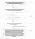 Fig. 01 - Method and Device for Protecting User Privacy during Video Telephone Communication