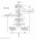 Fig. 05 - View Selection in a Vehicle-to-Vehicle Network