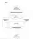 Fig. 08 - Three-dimensional video conferencing system with eye contact