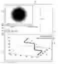 Fig. 01 - Endoscopic image reproducing apparatus