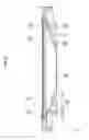 Fig. 20 - LIGHTING DEVICE, DISPLAY DEVICE AND TELEVISION RECEIVER