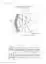 Fig. 25 - Liquid-crystal panel and liquid-crystal display device