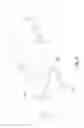 Fig. 04 - Spectacle structure