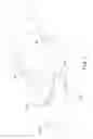 Fig. 06 - Spectacle structure