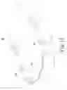Fig. 10 - Spectacle structure