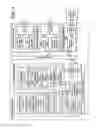 Fig. 05 - Analyzing tissue morphology in three dimensions