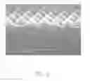 Fig. 04 - Method for detecting single molecule