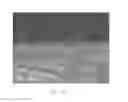 Fig. 14 - Method for detecting single molecule