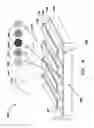 Fig. 05 - Reflective diffractometric hydrogel sensor for biological and chemical detection