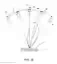 Fig. 16 - Method and apparatus for identifying the orientation of wood fibres