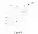 Fig. 04 - System for previewing and imaging documents