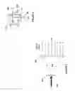 Fig. 03 - Apparatus and method for collimating diffused light using a compound holographic optical element