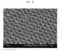 Fig. 10 - Infrared transmission optics formed with anti-reflection pattern, and manufacturing method thereof