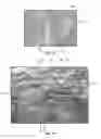 Fig. 06 - Inkjet-printed flexible electronic components from graphene oxide