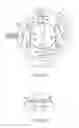 Fig. 06 - LUMINAIRE ON WHICH LAMP IS MOUNTED WITH CAP