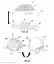 Fig. 02 - ILLUMINATION APPARATUS USING A SOLID STATE SOURCE AND A THICK COMPOSITE MOLDED LENS