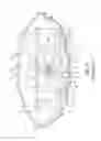 Fig. 06 - Rear lamp assembly