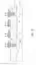 Fig. 09 - Thermo programmable resistor based ROM