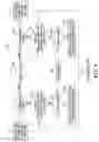 Fig. 05 - Uninterrupted transmission of internet protocol transmissions during endpoint changes