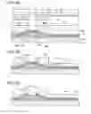 Fig. 06 - Display device and manufacturing method thereof