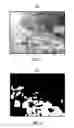 Fig. 02 - Object detection in crowded scenes