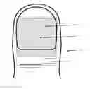 Fig. 01 - Fingerprint Image Sensor without Residual Image