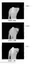 Fig. 06 - Depth map generation module for foreground object and method thereof