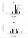 Fig. 09 - Determining the uniqueness of a model for machine vision