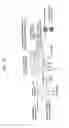 Fig. 13 - Optical transmitter, optical transmission method, and wavelength-selective variable delayer