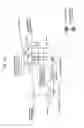 Fig. 17 - Optical transmitter, optical transmission method, and wavelength-selective variable delayer