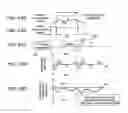 Fig. 29 - Optical transmitter, optical transmission method, and wavelength-selective variable delayer