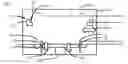 Fig. 01 - APPARATUS AND METHOD FOR TRANSFERRING A SUBSTRATE