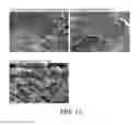 Fig. 14 - Ni(Si, Ti)-based intermetallic compound to which Ta is added