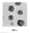 Fig. 02 - NANOWIRE PREPARATION METHODS, COMPOSITIONS, AND ARTICLES