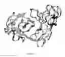 Fig. 02 - Immuno-conjugates and methods for producing them