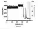 Fig. 28 - Immuno-conjugates and methods for producing them