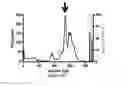 Fig. 33 - Immuno-conjugates and methods for producing them