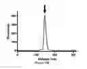 Fig. 35 - Immuno-conjugates and methods for producing them