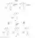 Fig. 06 - Arginase inhibitors and methods of use thereof