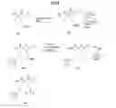 Fig. 08 - Arginase inhibitors and methods of use thereof
